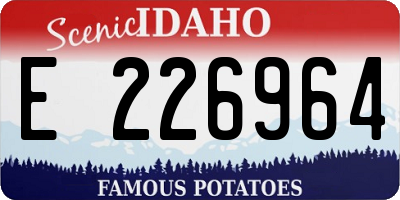 ID license plate E226964