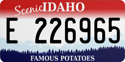 ID license plate E226965