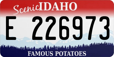 ID license plate E226973