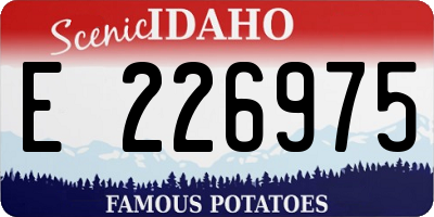 ID license plate E226975