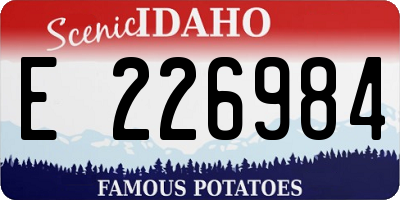 ID license plate E226984