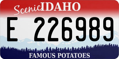 ID license plate E226989