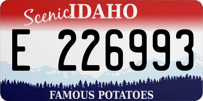 ID license plate E226993