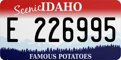 ID license plate E226995