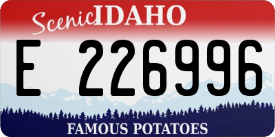 ID license plate E226996