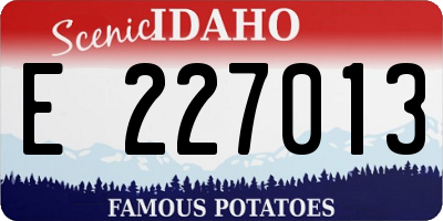 ID license plate E227013