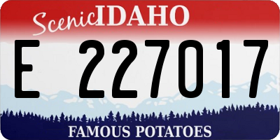 ID license plate E227017