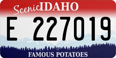 ID license plate E227019