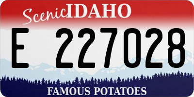 ID license plate E227028