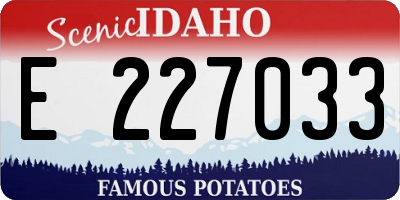 ID license plate E227033