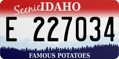 ID license plate E227034