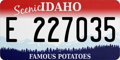 ID license plate E227035