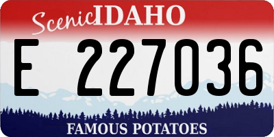 ID license plate E227036
