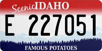 ID license plate E227051