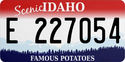 ID license plate E227054