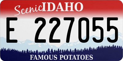 ID license plate E227055