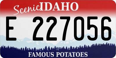 ID license plate E227056