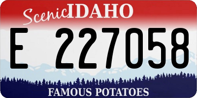 ID license plate E227058