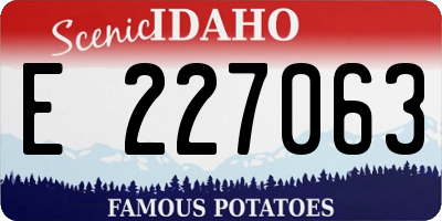 ID license plate E227063