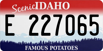 ID license plate E227065