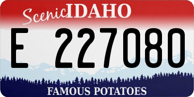 ID license plate E227080