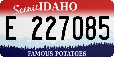 ID license plate E227085