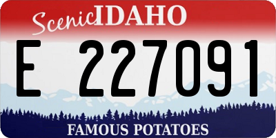 ID license plate E227091