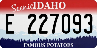 ID license plate E227093