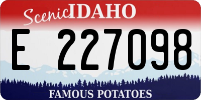 ID license plate E227098