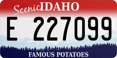 ID license plate E227099