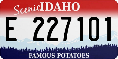 ID license plate E227101