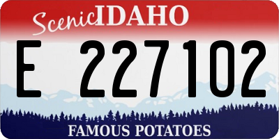 ID license plate E227102