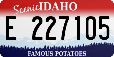 ID license plate E227105