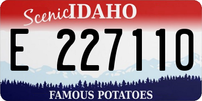 ID license plate E227110