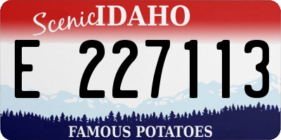 ID license plate E227113