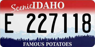ID license plate E227118