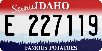 ID license plate E227119
