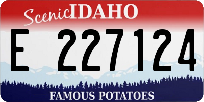 ID license plate E227124