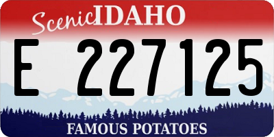 ID license plate E227125