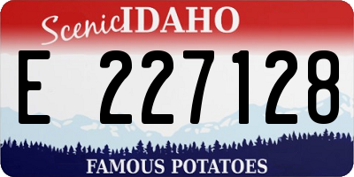 ID license plate E227128