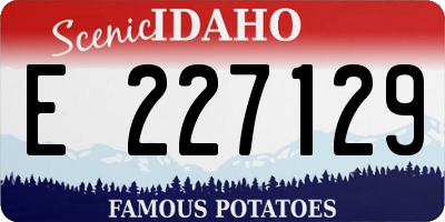 ID license plate E227129