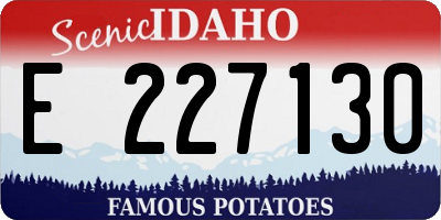 ID license plate E227130