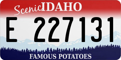 ID license plate E227131