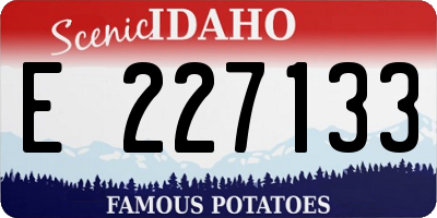 ID license plate E227133