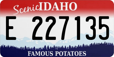 ID license plate E227135