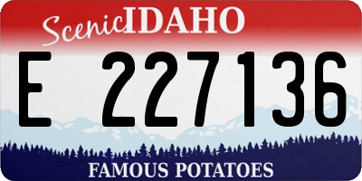 ID license plate E227136