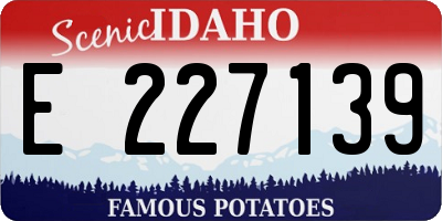 ID license plate E227139