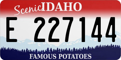 ID license plate E227144