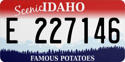 ID license plate E227146