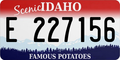 ID license plate E227156